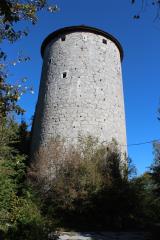 Ravbarjev stolp3